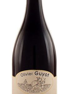 domaine olivier guyot gevrey chambertin champeaux 2009