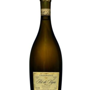 Jacques Picard, Art de Vigne 2003