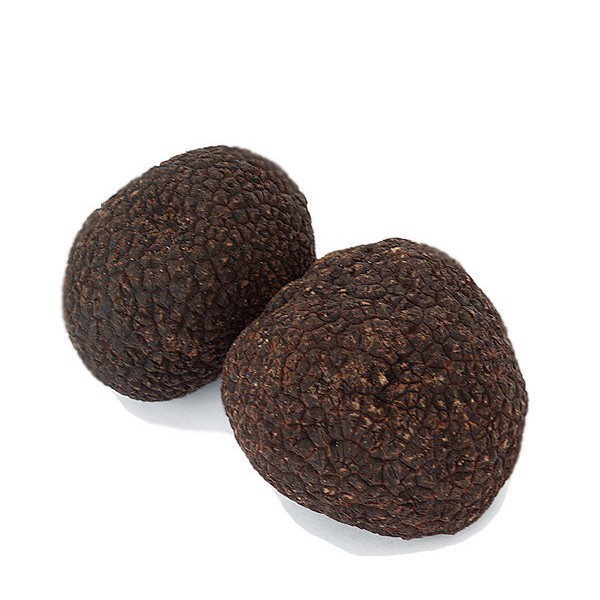 Fresh Burgundy Truffles ( Tuber uncinatum )