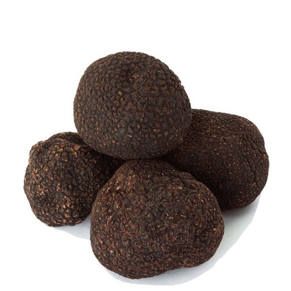 Fresh Summer Truffles ( Tuber aestivum vitt )