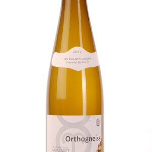 L´ECU ORTHOGNEISS 2007